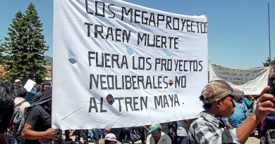 Yucatan: Tren Maya es declarado culpable por etnocidio, ecocidio y militarización en el Tribunal de Derechos de la Naturaleza.