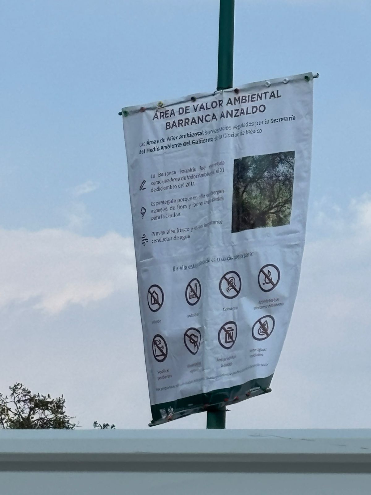 Cablebús en zona protegida: la Línea 5 de la CDMX quebranta su propio decreto ambiental en la Barranca Anzaldo